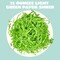 12 oz Easter Grass Paper Shred (Light Green) for Basket Filling